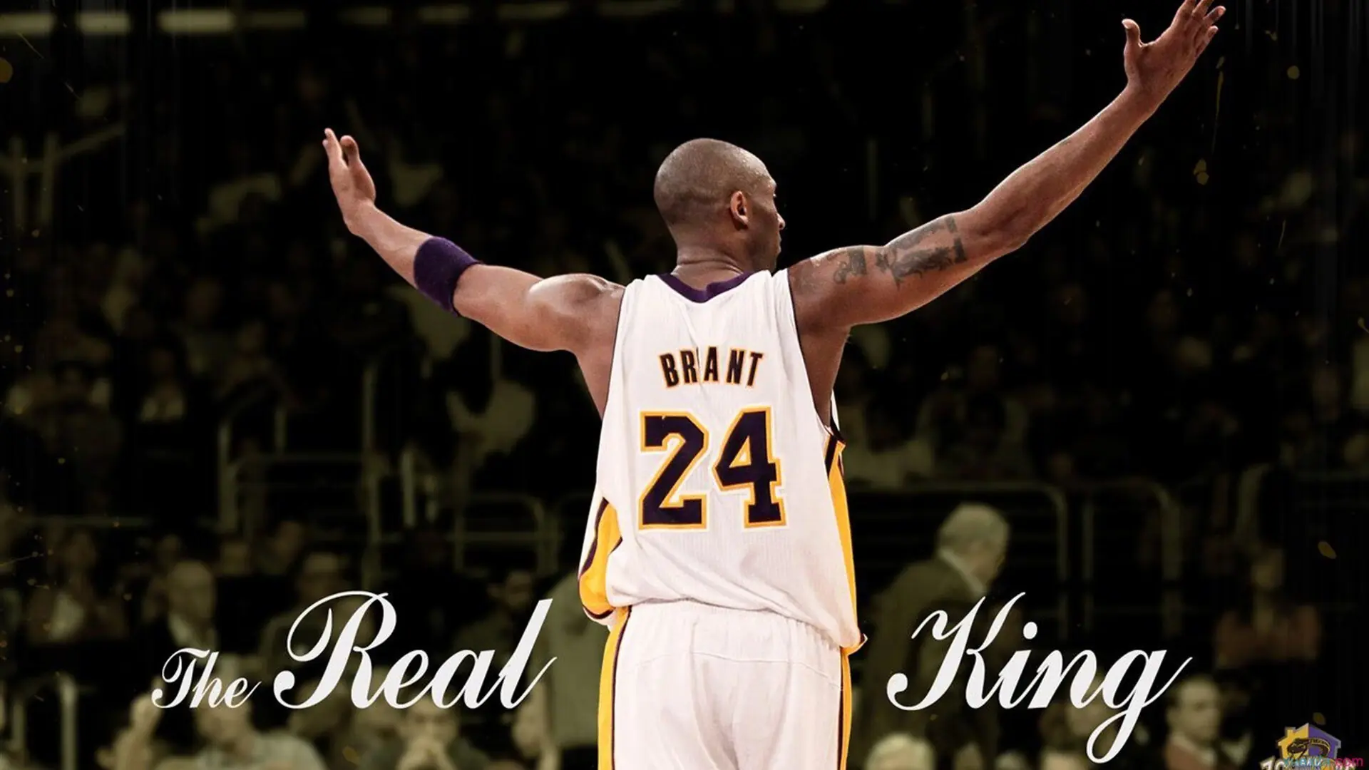 青少年“梦想篮球场”设计大赛在福州落幕，激发创意潜能，筑梦篮球馆